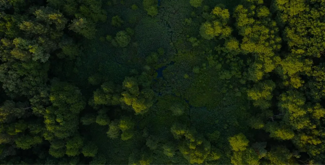 Dashboard Somma — visão geral de emissões de carbono